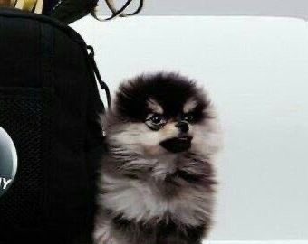 น้องมินตา tweet media