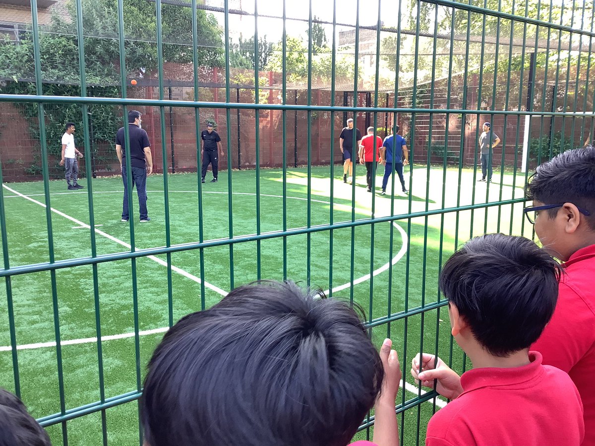 Halley Year5 tweet media