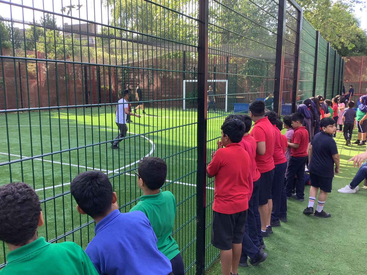 Halley Year5 tweet media