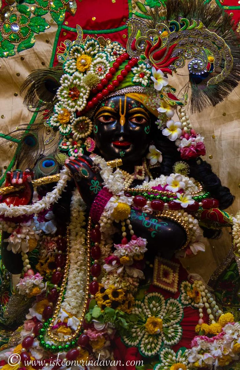 theholy_monk's tweet image. Jai Sri Krishna 🍁🌻☘️💮🥀