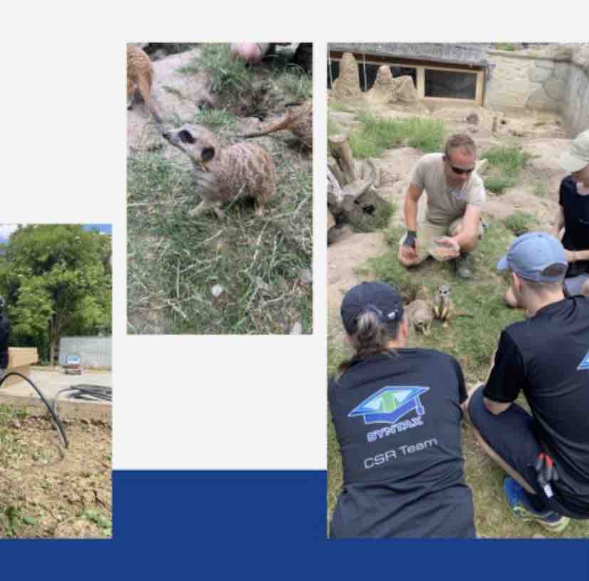 SyntaxSystemsDE's tweet image. Am 3. Tag unserer CSR-Week haben wir im Heidelberger Zoo den Umbau des Schildkrötengeheges unterstützt und für die Jugendlichen im Bikepark in Viernheim mit dem Bau eines Fundaments und der Installation eines Sonnensegels den Grundstein für einen Aufenthaltsraum gelegt. 
#CSR