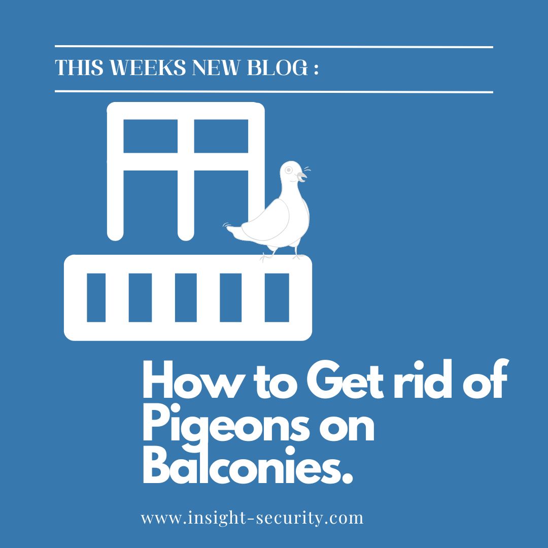 Check Out This Weeks Blog and Find Out How to Get rid of Pigeons on Balconies.

#birdseason #stopbirdnesting #birdnesting #pigeon #pigeons #stopbirdmess #balconygarden #birdfree #birdfreefiregel #pestcontrol #pestmanagement

Link to blog - insight-security.com/how-to-get-rid…