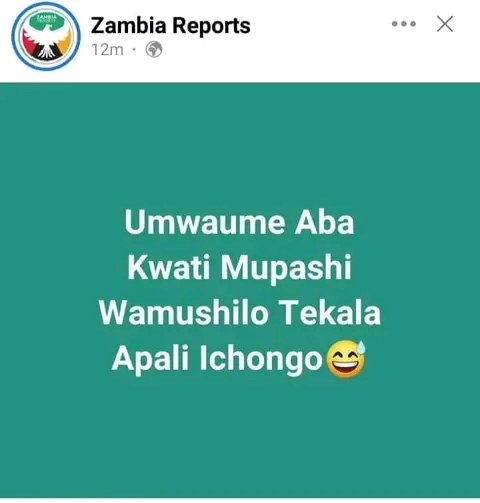 ChemboMafuka's tweet image. 