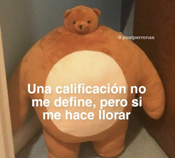 Wuolah's tweet photo. sí https://t.co/dsuzCwvN10