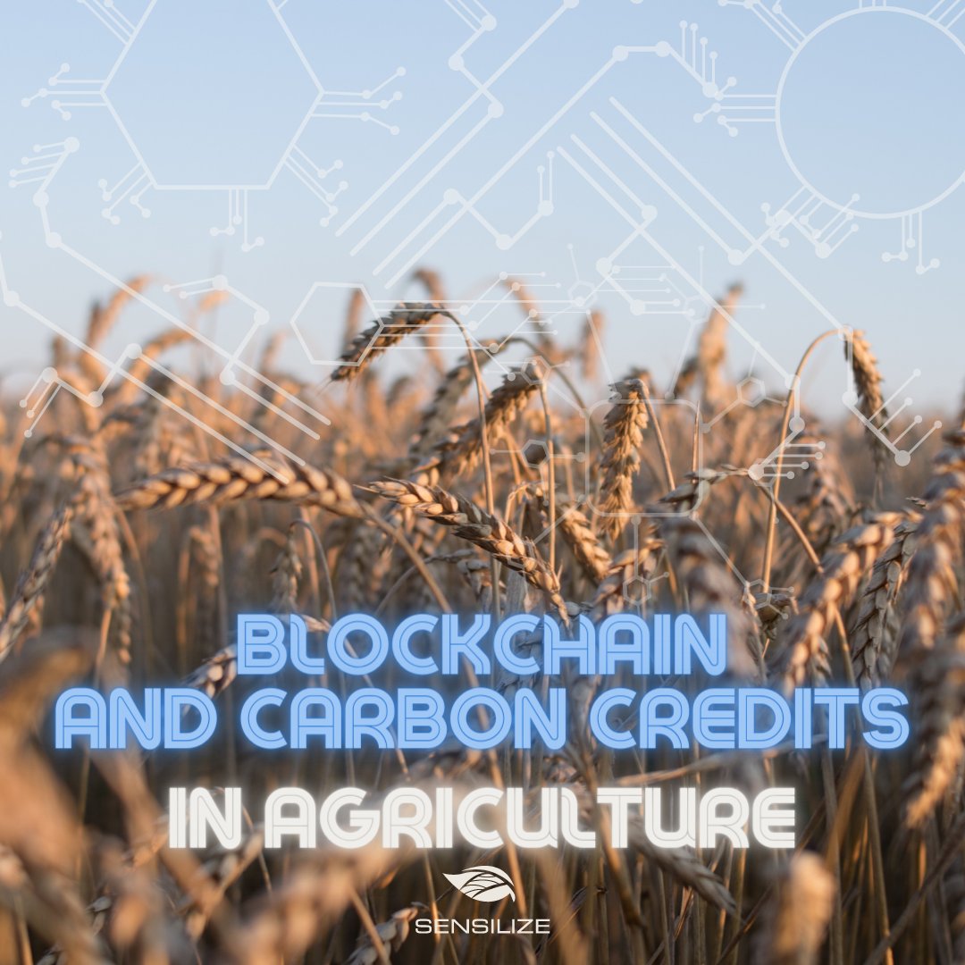 sensilize's tweet image. One area where blockchain technology can have a significant impact is in the world of carbon credits.

Visit our LinkedIn page to read more: bit.ly/3CBHeYl

#blockchain #digitalfarming #SustainableAgriculture