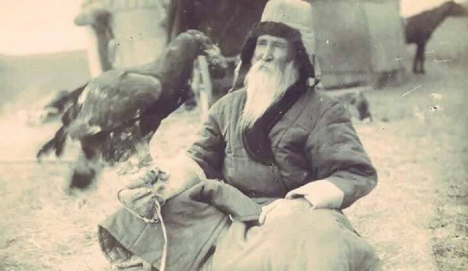 FiiTarih's tweet photo. Aspanda Bürküt jerde Kökbörü bol.

"Havada kartal yerde bozkurt  ol." https://t.co/swwOKSih3d