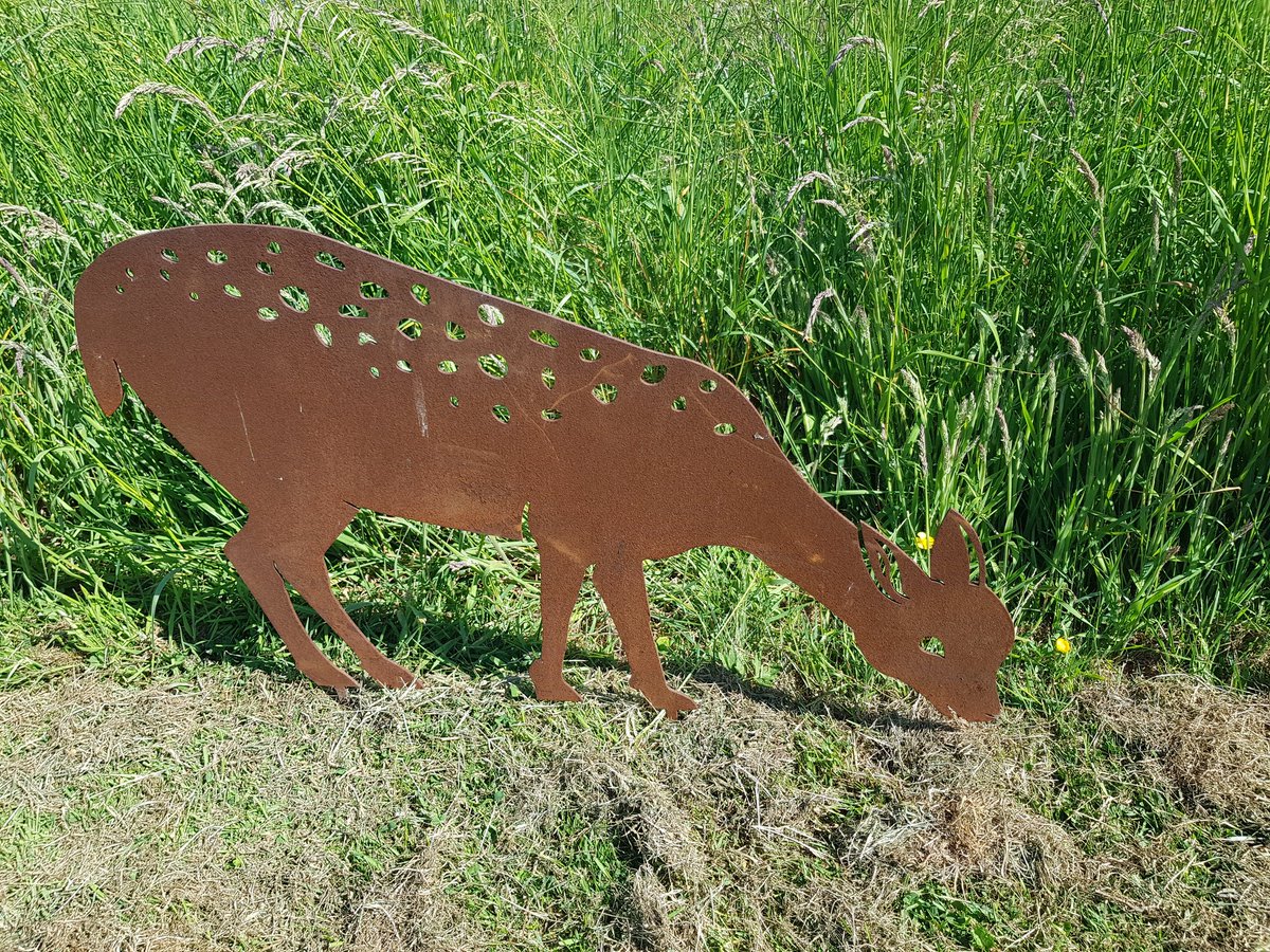 MidlothScience's tweet image. When it&apos;s too hot in the office for meetings then take a business #Netwalk. @MidlothScience joined other @lothianschamber members at the Glencorse Centre for a woodland stroll, spotting &apos;Rusties&apos;, refreshments and a game of Petanque! wellbeingessentials.uk/#wellbeing #networking #inthezone