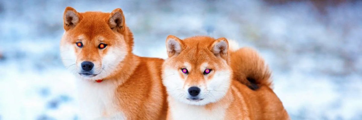 RogueTokens's tweet image. #Roge &amp;amp; #Proge determined!
#Crypto #Defi #AltCoins #Uniswap #Eth 
t.me/RogueTokens 
#InclusiveByDesign #RogueIsVogue