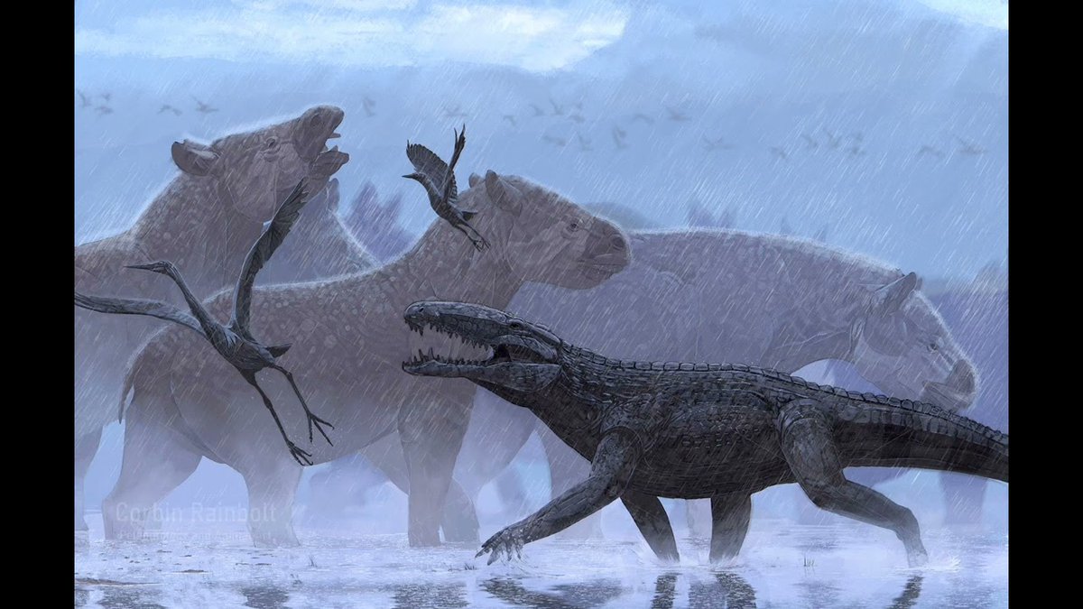 J_Motorcast_'s tweet photo. For those people 
who want to believe 
that we coexisted with dinosaurs, 
Langstonia 
did exist at the same time as 
Dryopithecines, 
who were technically early humans, 
HOWEVER 
Langstonia is technically NOT a dinosaur. https://t.co/5rIlc02Bum
