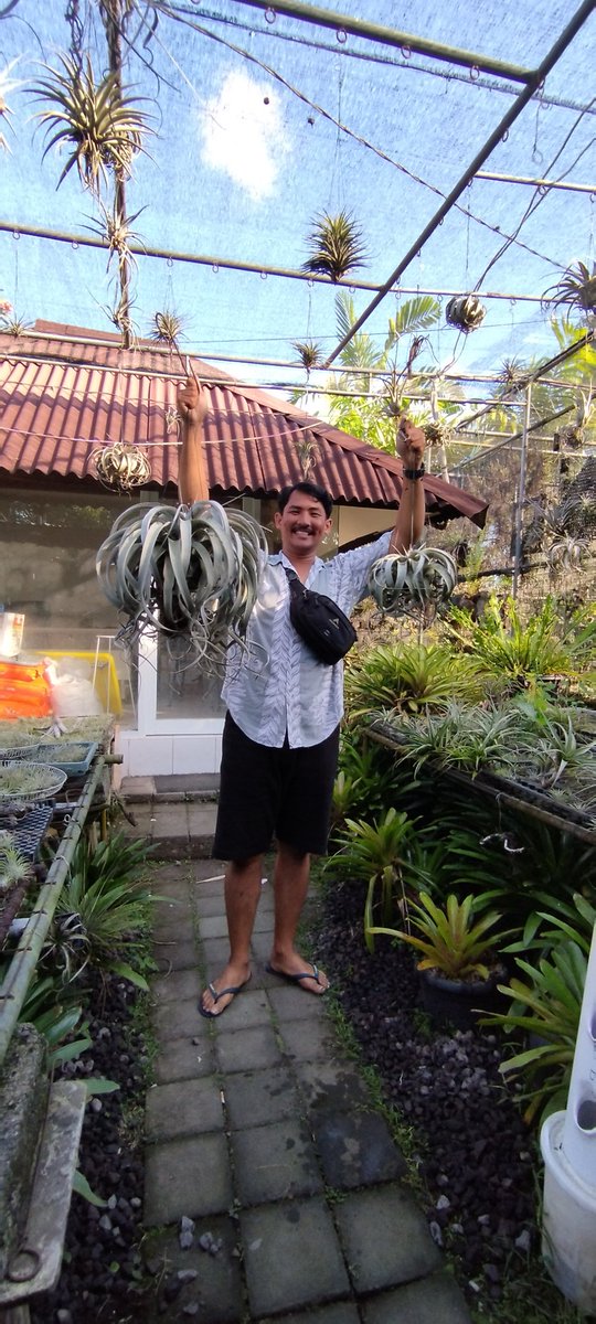 ayu riesky (@kanara_yuki) on Twitter photo 