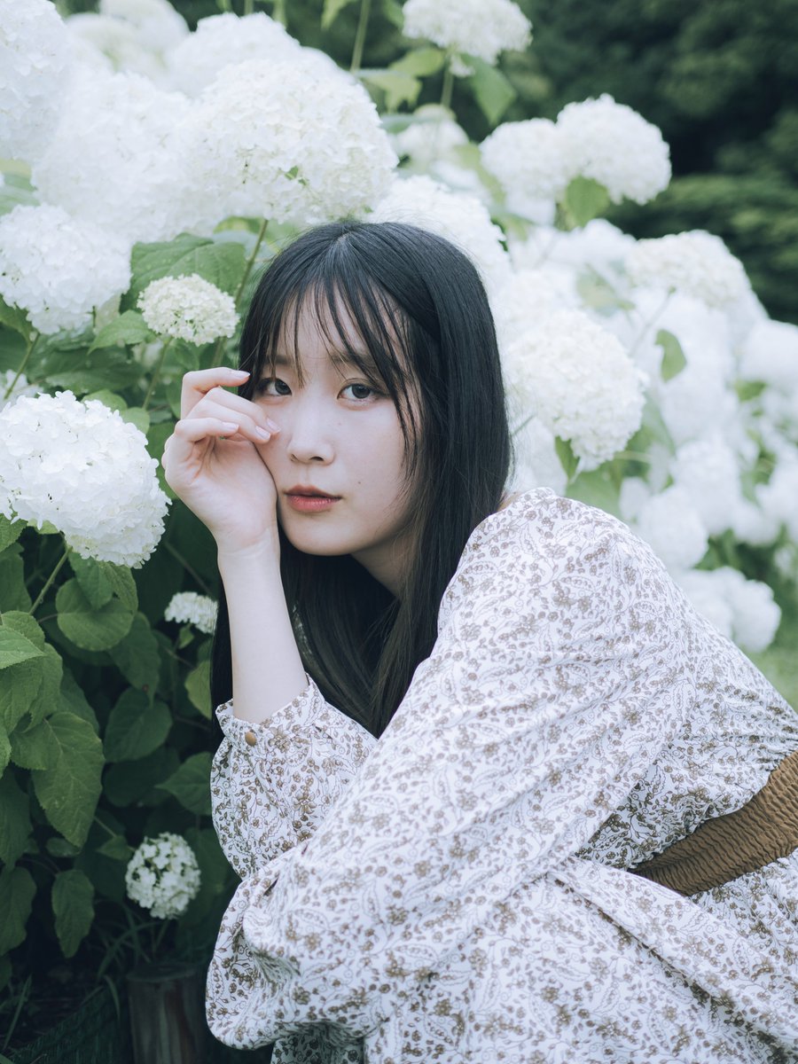 jAnN_735's tweet photo. KAWAIIcollection関西（@KAWAIIcollecti2） 
model：ももさん（@mm__kawacolle）  

#カワコレ関西 #kawacolle関西 
#被写体募集 #関西 #ポートレート #portrait 
#紫陽花ポートレート 
#ぽくすんあーく #복숭아크 https://t.co/FZwXj4OlZ1