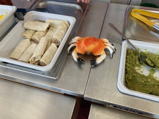 Myrtle Park Primary tweet media