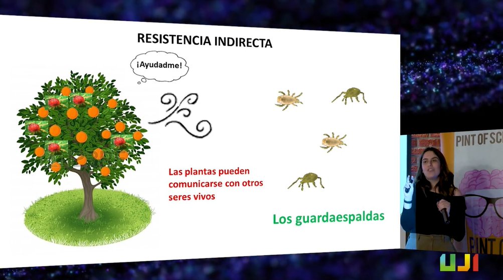 UJIuniversitat's tweet image. #PINT23ES #PINT23CAS: «Plantas, seguros de hogar y guardaespaldas». Monólogo de la investigadora @maria_manresa del Grupo PIB - Bioquímica e inmunidad vegetal #CiènciaUJI. «Las plantas identifican más rápido el peligro, piden auxilio y avisan a sus vecinas para que también se
