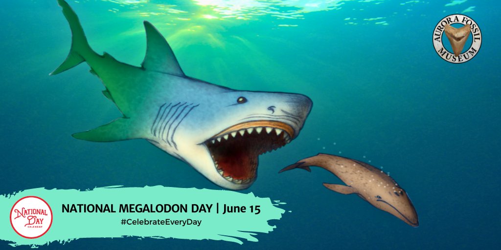 Happy #NationalMegalodonDay! Let's take a moment to appreciate that the scariest thing at the beach these days is losing your flip flops. And here's a thought, if Megalodons still existed, we'd need a MUCH bigger boat. nationaldaycalendar.com/national-megal…
