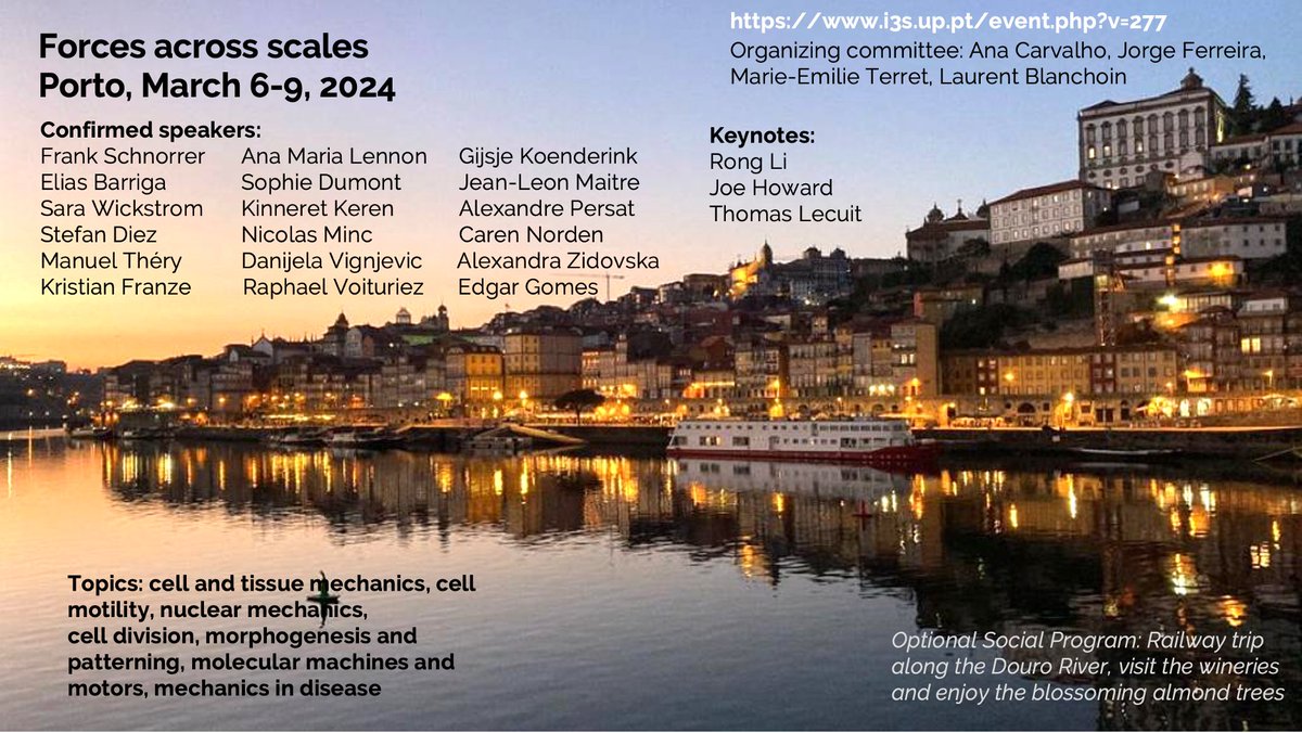 Save the date: The Forces across scales meeting will take place in Porto on March 6-9, 2024!
Fantastic panel of invited speakers in a beautiful location!
Check our website for updates on registration i3s.up.pt/event.php?v=277