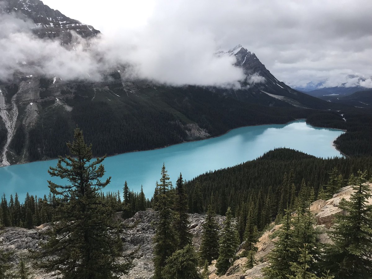 @JenCarfagno @TWCAlexWallace Definitely scenery, this is Peyto Lake #BanffNationalParkCanada #LakeLouise