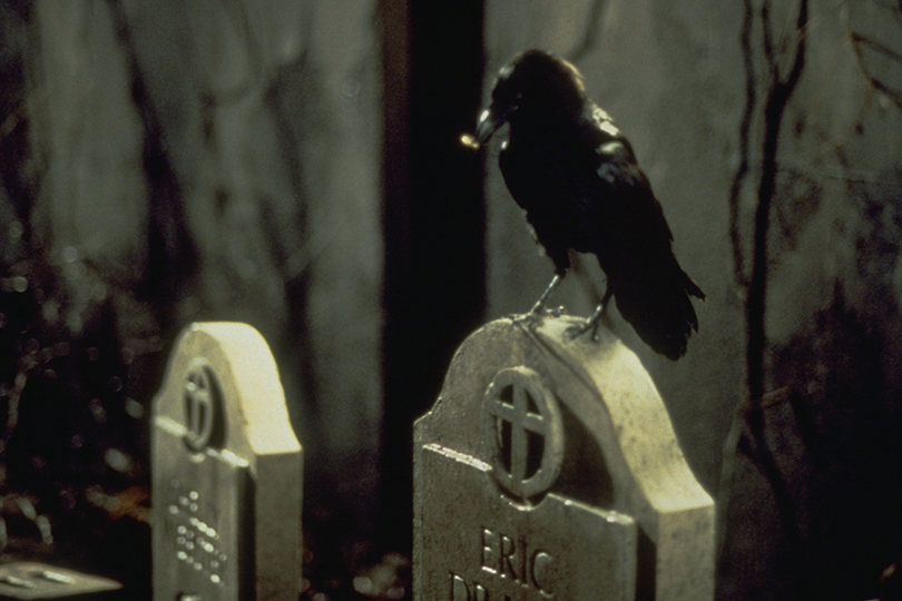 See #TheCrow fly again this October... #CIKI #ShaolinJazz #3ChambersFest #ILM