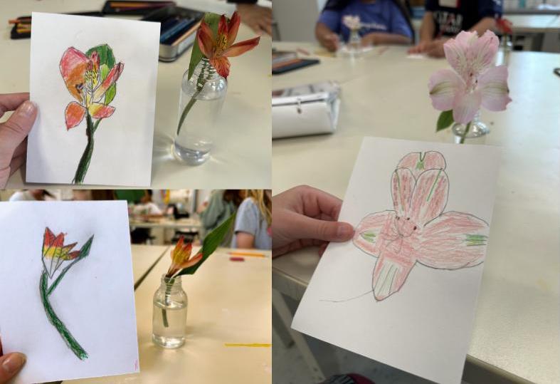 arteescuelakey's tweet photo. Observational drawings and paintings of fresh flowers in second-fourth grades @APSArts @EscuelaKeyAPS https://t.co/2tWXK8dVwS
