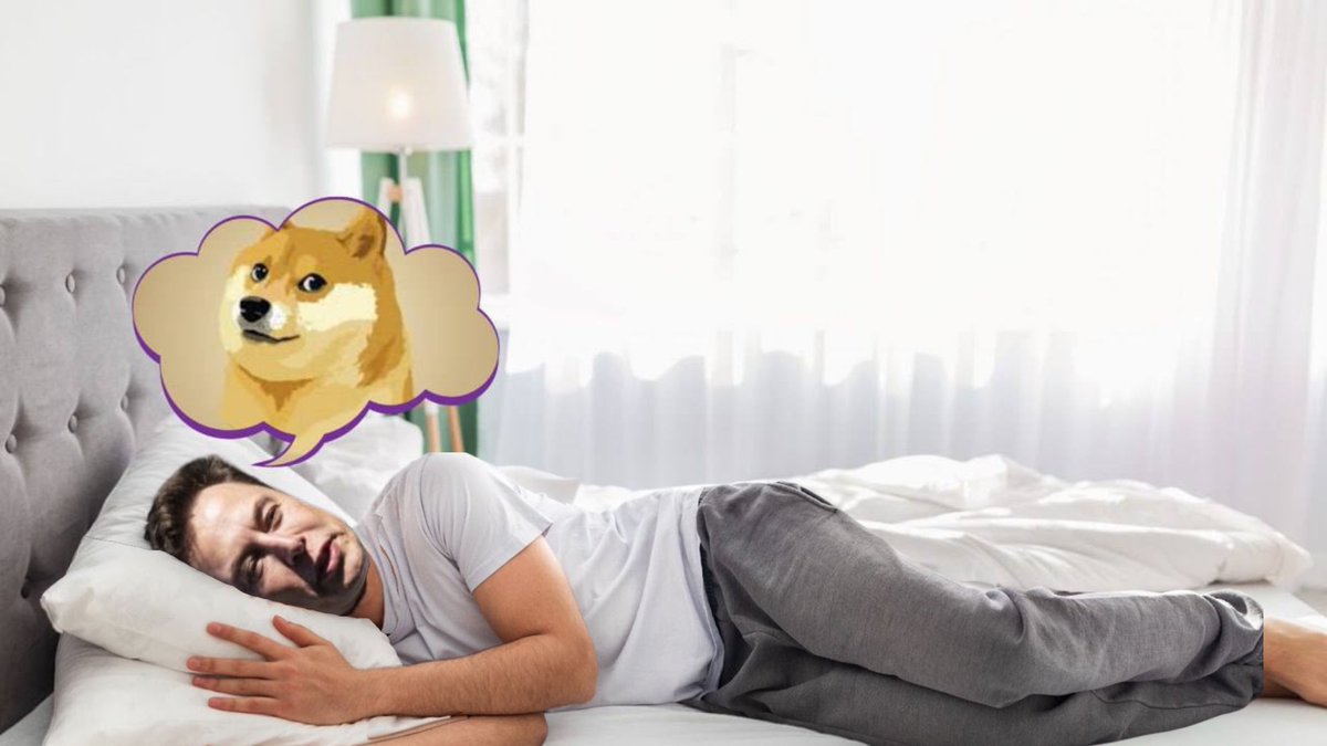 BREAKING: <a href="/elonmusk/">Elon Musk</a> has been spotted napping; many believe Elon doesn’t sleep but the image below proves otherwise.