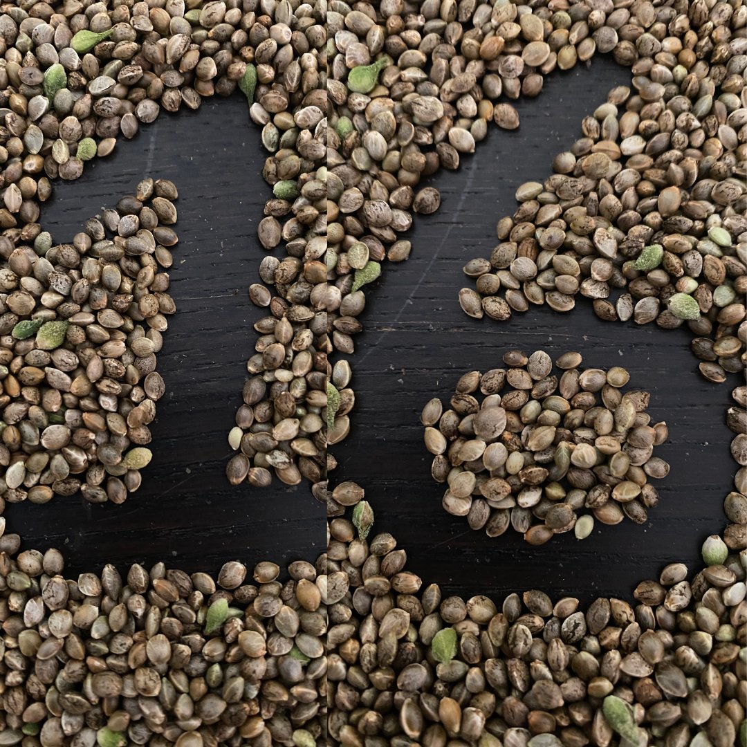 16 days left! Who's ready?! 🙌 Share a video about your excitement or suggestions for improvement and make our voice heard! growers, send us your grow tips too! Together, we build strong connections! #Question4SeedScore