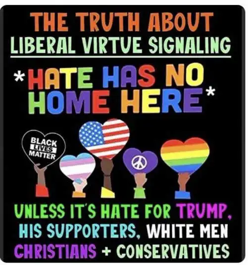The TRUTH about liberal virtue signaling😡
