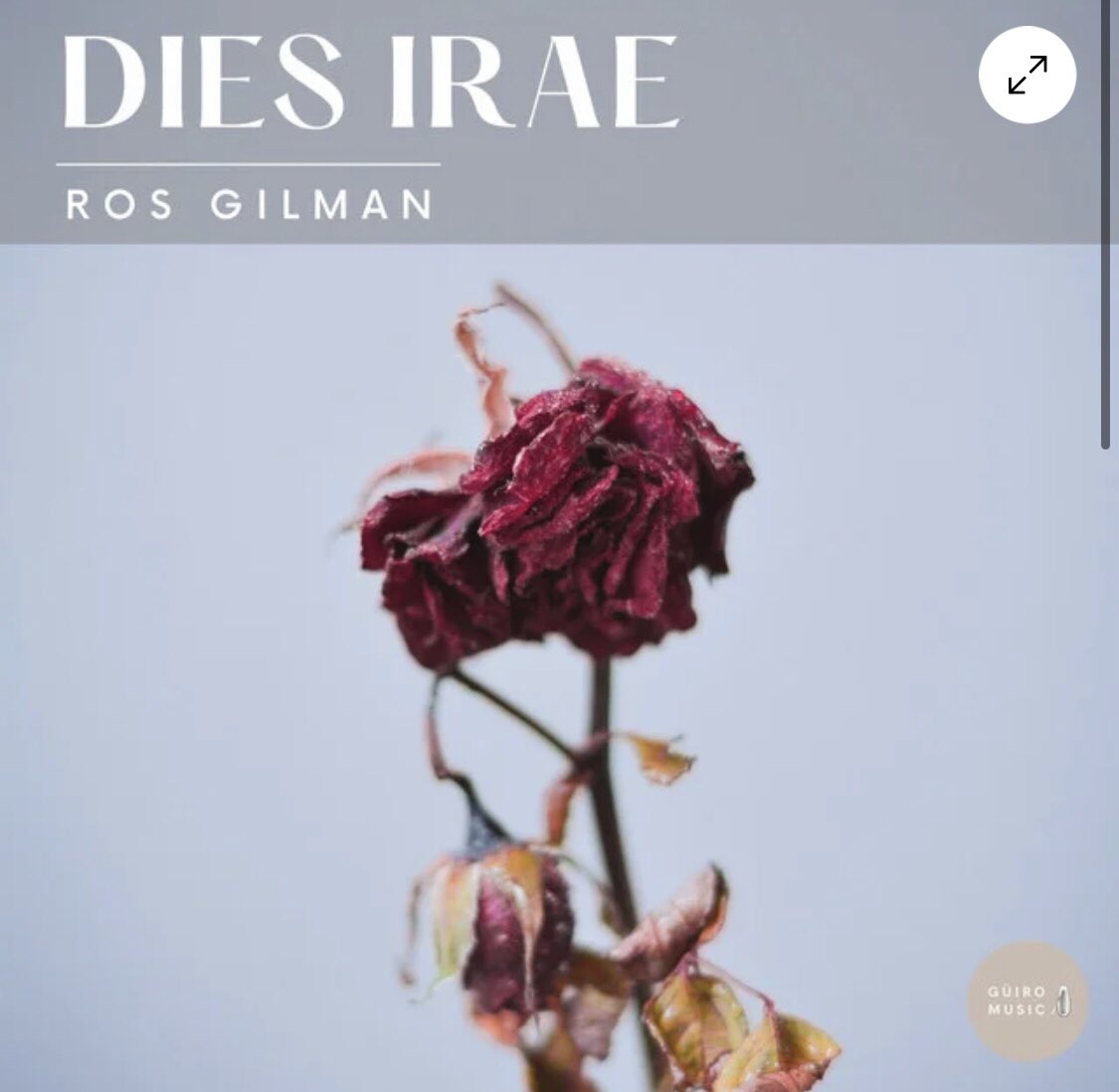 Thank you for this lovely review of my new release Dies Irae 🎶🙏 musicdanceswhenyousleep.com/post/ros-gilma…
