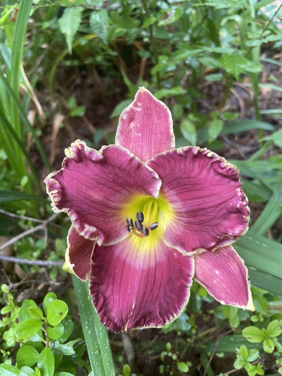 Morning beauties 😊🧡