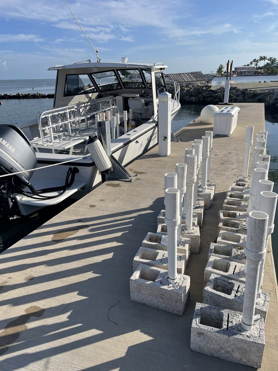 Alharborne's tweet image. Having pulled all the concrete out of the Upper Keys it’s all going back underwater in the Middle Keys to set up the new acoustic array… #trackingnotslacking
@FIU_FISHSCAPE @MarineBioMeg @Dr_Yannis @FIUMarineBio @FIUCASE @FIUEnvironment @MarineLabKL @FACT_Network