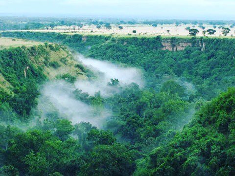 Kyambura Gorge is a popular tourism attraction in Uganda located in Queen Elizabeth National Park. The gorge is a natural wonder that was formed by the Kyambura River cutting through the earth's crust. It is surrounded by lush vegetation and is home to many of wildlife species
