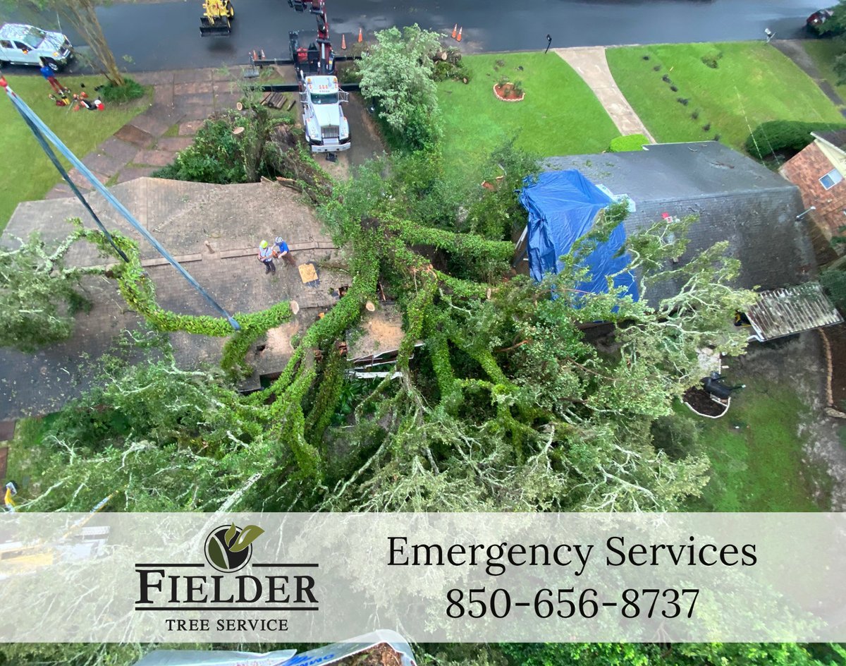 FielderTree's tweet image. Did last night&apos;s storm cause storm damage to your structure?🌲⛈️
Our team is on standby ready to assist you!

📲Call 850-224-LAND or 850-656-8737!
#OneTeamOneFamily #DownedTree #EmergencyTreeWork #StormDamage #Heretohelp