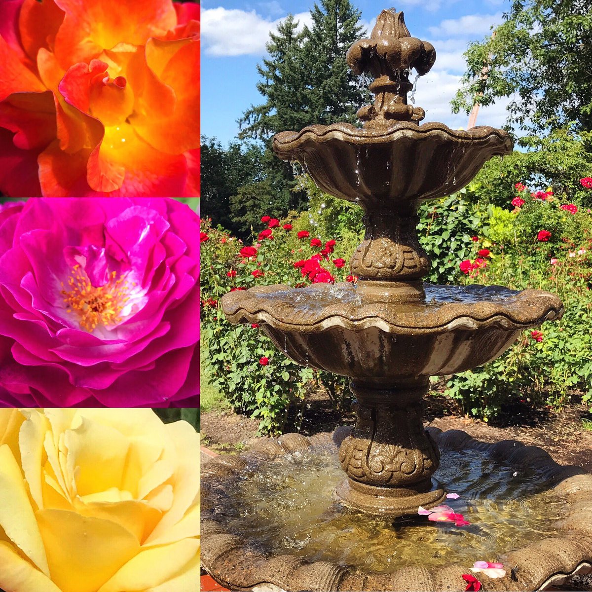 The fountain in the International Rose Test Garden in #PDX - from my trip on #Ramblr &amp; my instagram @ instagram.com/p/B03b_i0JGSQ/… #DailyPictureTheme