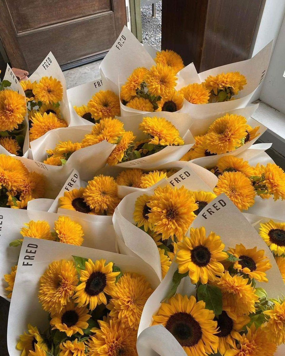 sunflowerchives's tweet photo. sunflowers  are the best!💛 https://t.co/BG3ZZD8Lx8