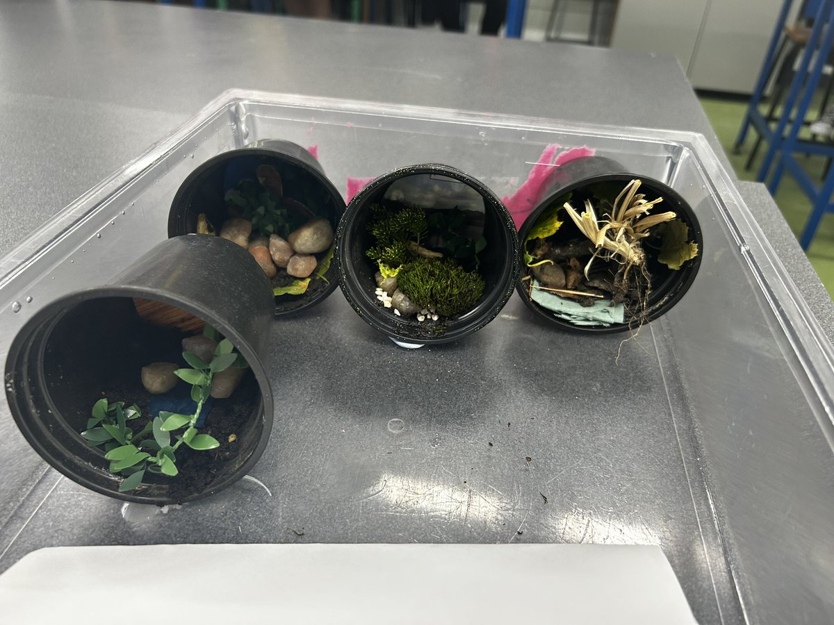 Some beautiful mini ecosystems on progress by my new National 5 class!! #biology #ecosystems