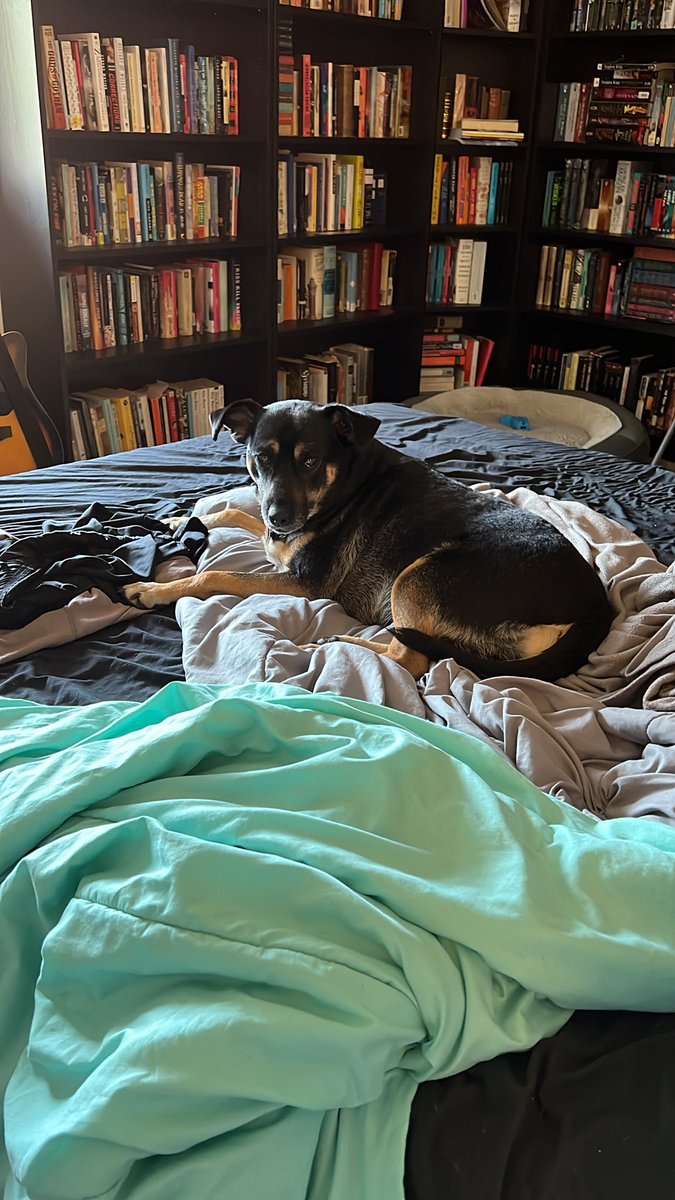 What percentage of unemployment should be spent wandering aimlessly around your apartment while your dog judges you? Asking for me.