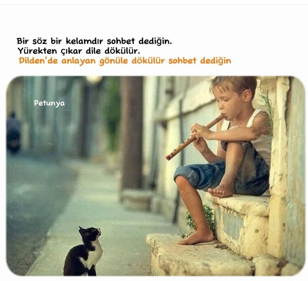 SehmusTurkan's tweet photo. https://t.co/EdbwjJEVoF
