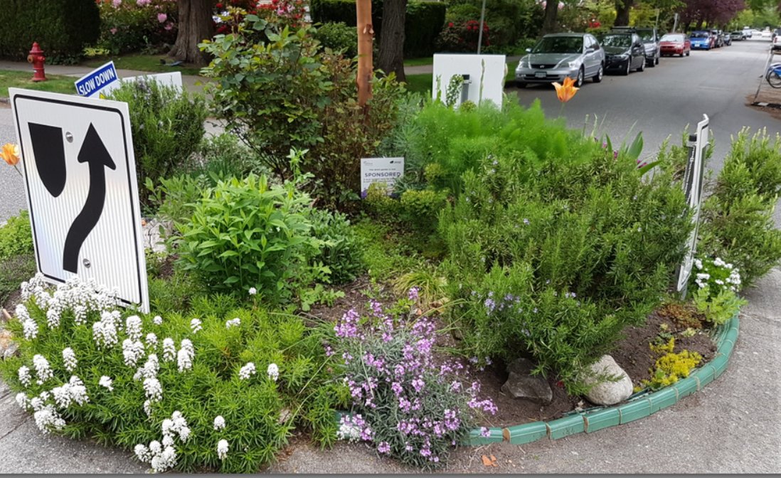 freshguru's tweet image. Could you pretty please follow me?  In return, give me a wish and I will hang it in my community garden in Vancouver, BC.  I would love to reach 1,500 followers. Thank you.