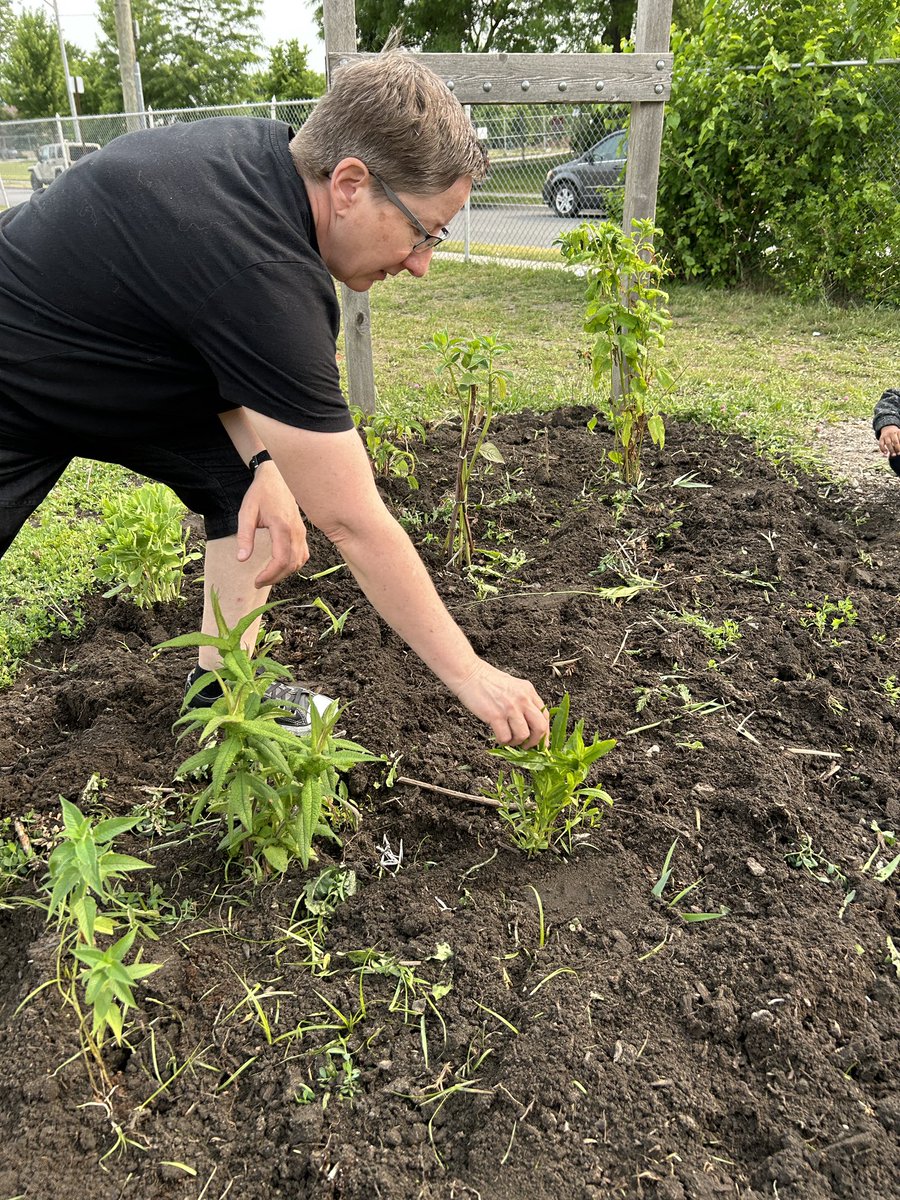 Pickersgill JK/SK tweet media