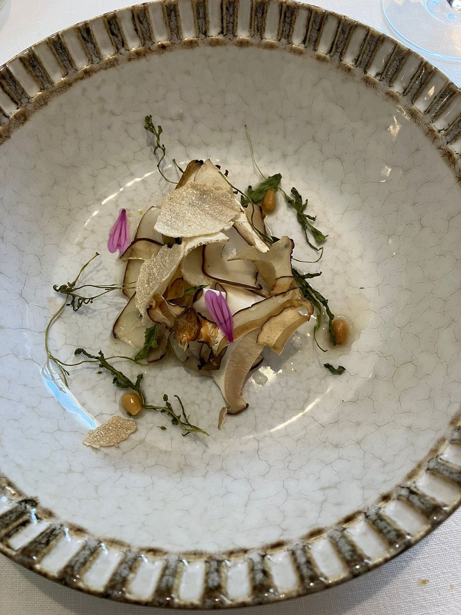 eldevoratorio tweet media