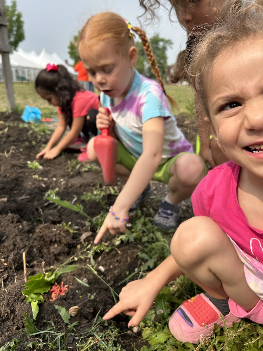 The freshly turned soil attracted a new group of friends to the garden today. They found a snail and made a home for him!