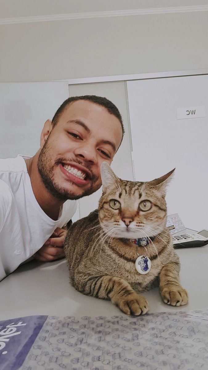 nicolaslimaa_'s tweet photo. o gato mais gato de todos os gatos https://t.co/07URNQbdey