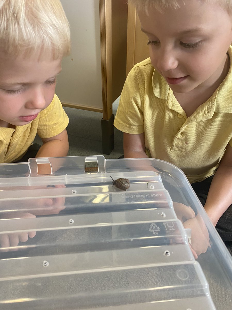 We couldn’t fit a whale in the classroom but a snail we could just about squeeze in! We loved investigating and discovering snail facts. Thanks Sid for slithering by!  Thank you Mrs Barrett!!! 🤪#snailandthewhale #aweandwonder #curiouschildren <a href="/mesne_lea/">Mesne Lea</a> <a href="/ldil81/">Mrs Barrett’s Bees 🐝</a>