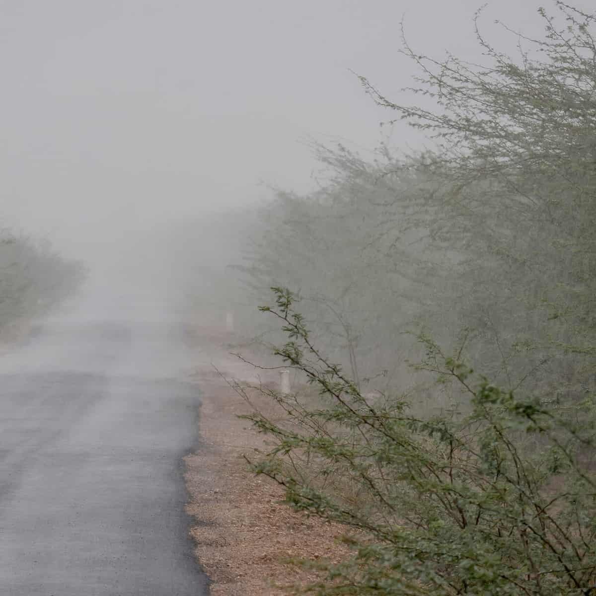 Deccan_Cable's tweet photo. Kutch: Heavy rain at Jakhau ahead of the landfall of Cyclone Biparjoy, in Kutch district, Thursday, June 15, 2023. (PTI Photo) Kutch: An entrance gate of a home tightened with rope in view of strong winds ahead of the expected landfall on Cyclone Biparjoy, near Jakhau port in Kut https://t.co/4bAJMfb5AR