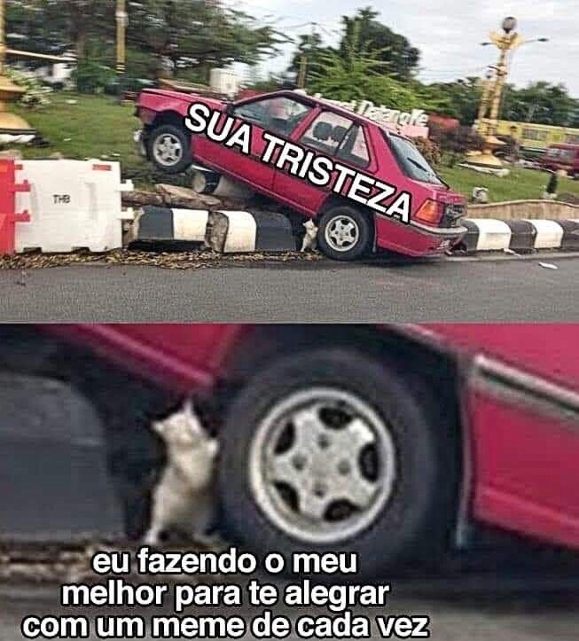 shitpostverdade's tweet photo. https://t.co/U00VDtQ9Gr