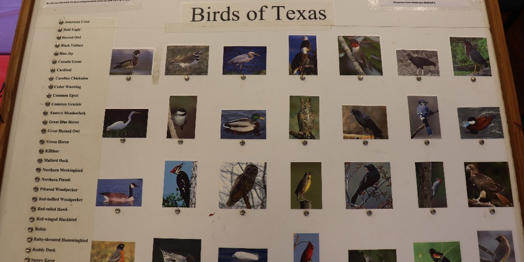 Yesterday our campers had a SUPER busy day learning about strength&amp; determination through various activities. They also learned how birds show strength &amp; determination from a real-life scientist Esme Cope from the Rio Brazos Audubon Society. Stay tuned to see results from day 3!