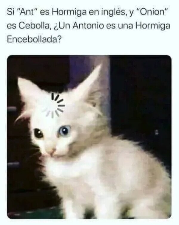 No volveré a escuchar ese nombre de la misma manera cuantocabron.com/meme_otros/no-…