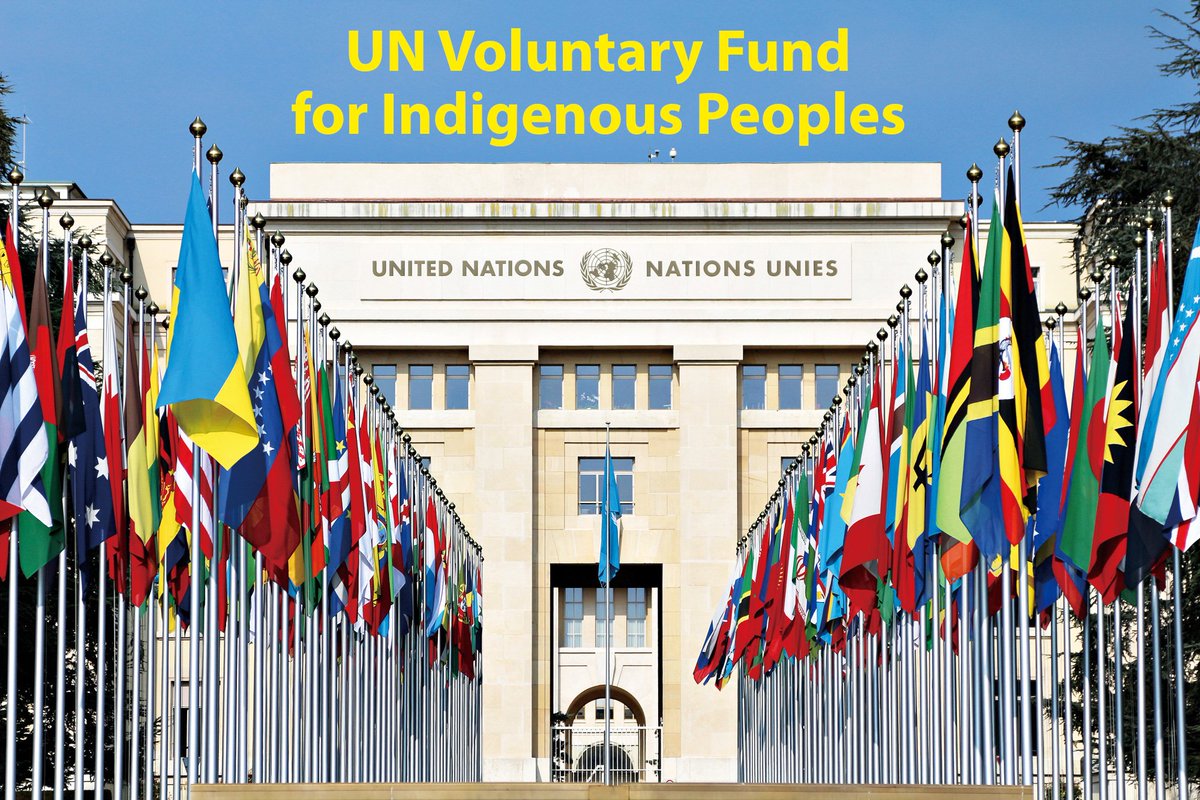 Docip_en's tweet photo. The UN Voluntary Fund for Indigenous Peoples launched a new call for applications from August to December 2023
https://t.co/dEf2MhzLYb
#CRPD29 #CRC94 #CESCR74 #CCPR139 #CEDAW86 #UPR44 #COP28 #HRC54 #FBHR12 https://t.co/epk3eOZ8sz