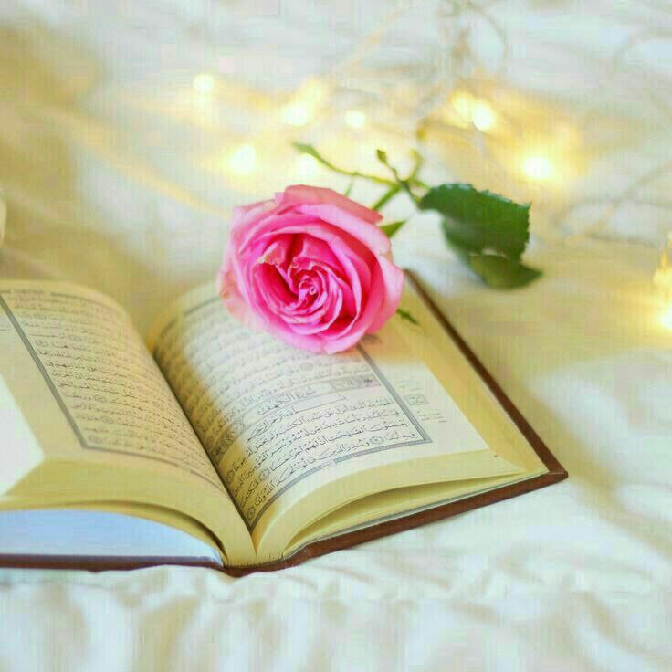 الفارس 💛💙 tweet media