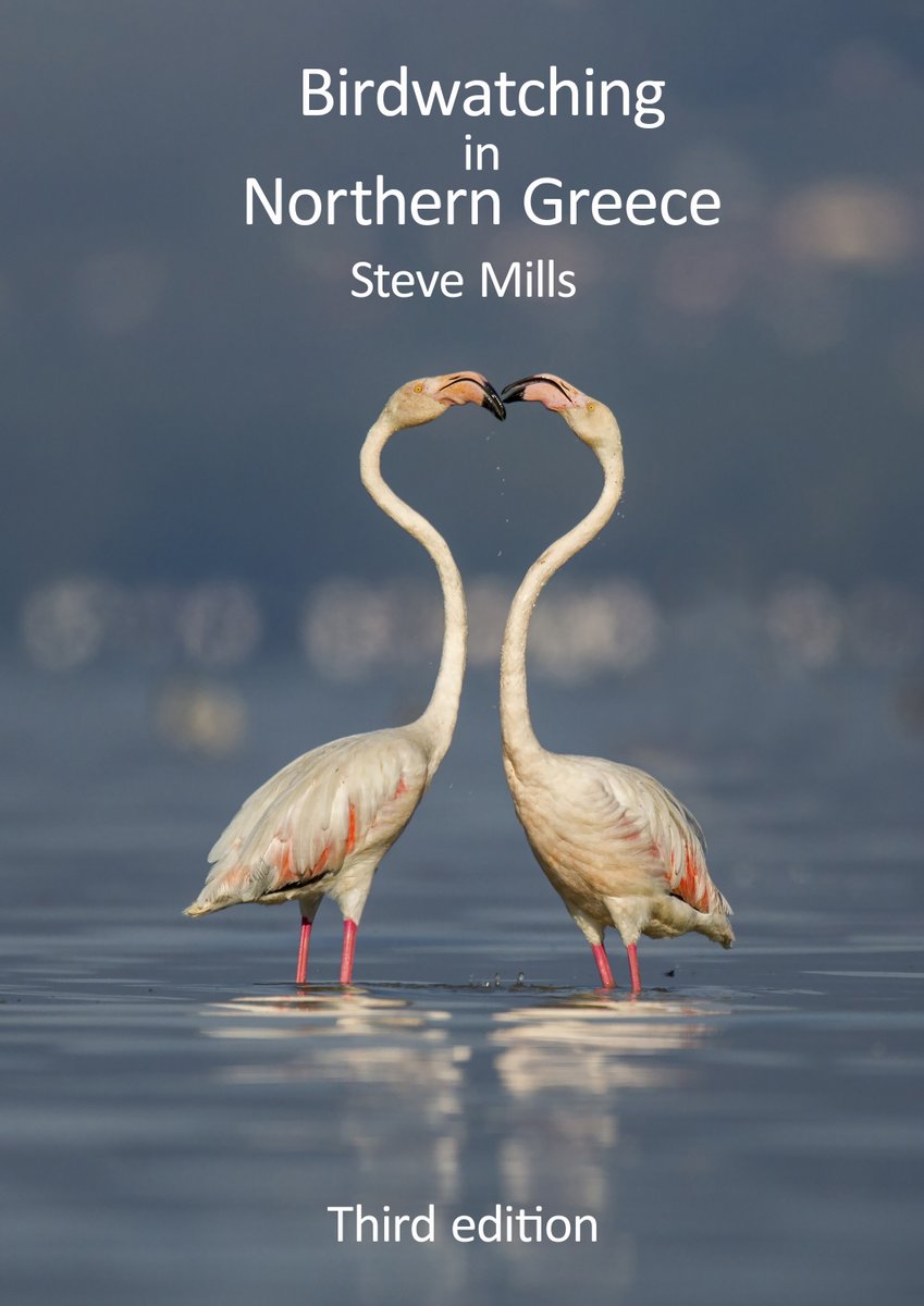 Birdwingeu's tweet photo. We need your vote! Which of the following covers do you think we should use for the new third edition of our book?
Cover 1 - Flamingos 
(1/3) https://t.co/K78PTy78ml