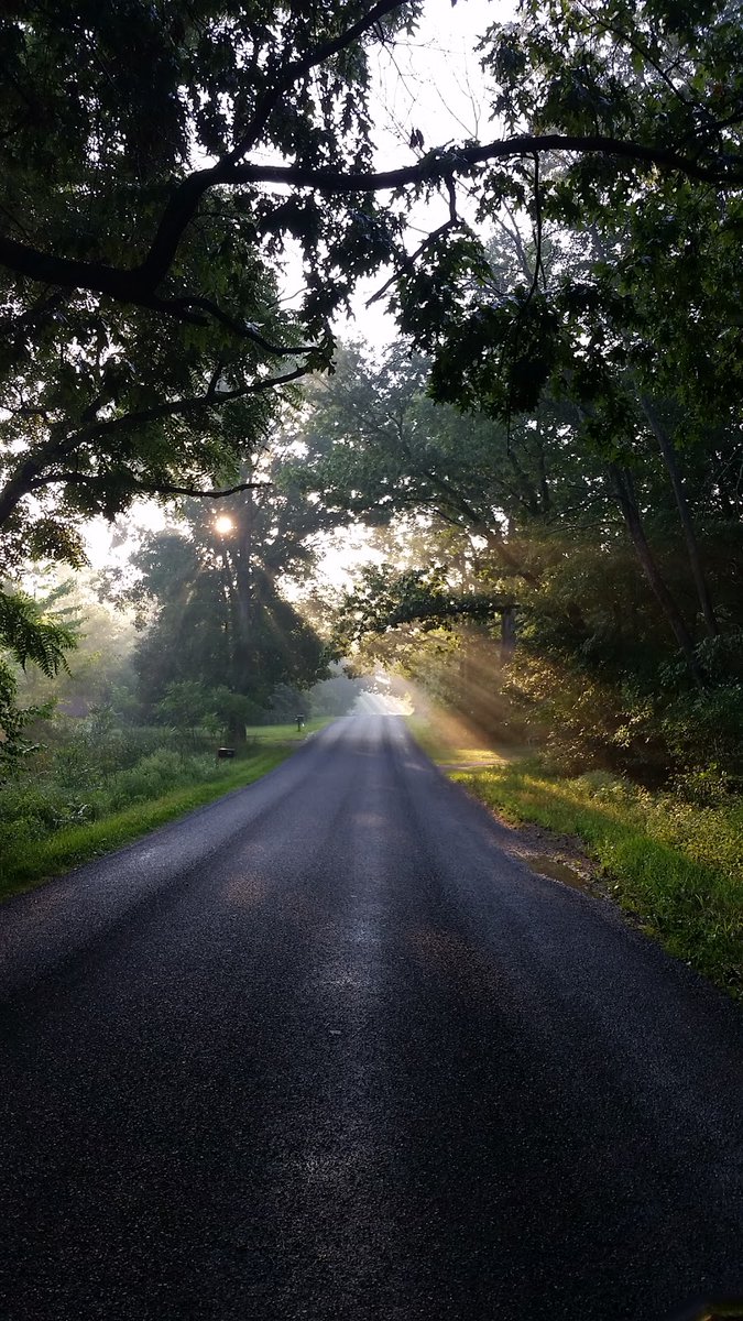 New town every hour on Twitter "Gobles, Michigan Population 798 Photos from Google Places API