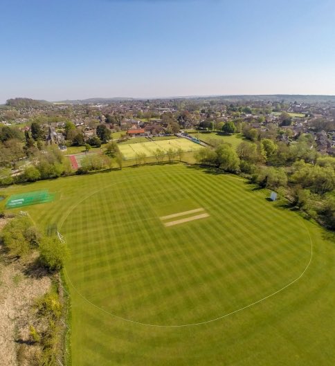 VerlucianCommunity tweet media